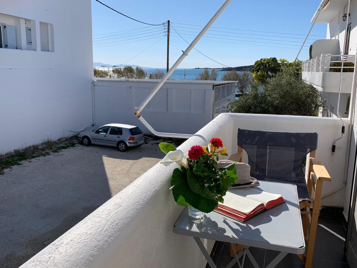 Studio Apartment Violetta At Livadia Beach Páros Exterior foto